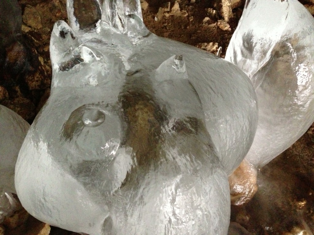 Rorschach in ice! What do you see? 