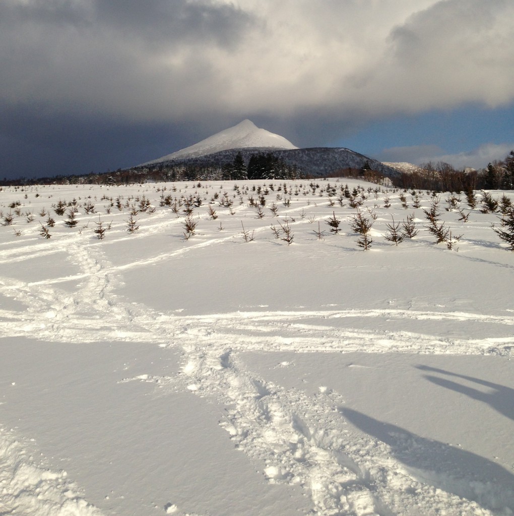 The beautiful peak of Mt. Tokushunbetsu suddenly makes an appearance from behind the clouds.