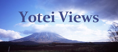 yoteiviews