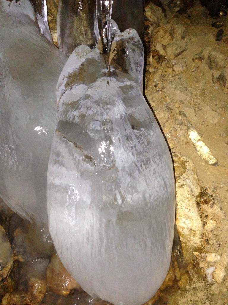 Among the ice creatures that I encountered in the cave -- Totoro!