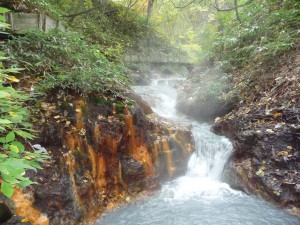 On the way to Oyunuma footbaths