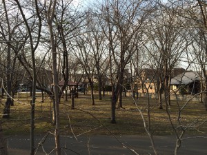 Along the path there are several small parks, benches, and covered seating areas. 