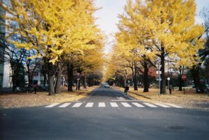 hokkaido-university-in-autumn_6380837873_o