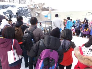 Then enjoy the penguin show! You can see them ` 11 am & 2 pm.